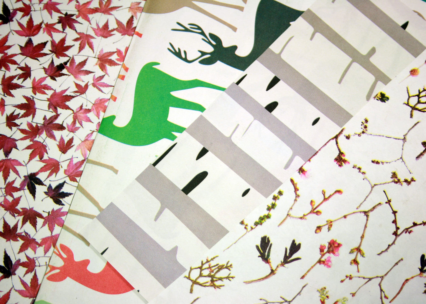 Bath & Body Spa Gift Set. 2 Small Organic Soaps, Jojoba Lotion Bar, Lip Balm. Eco-Friendly Self Care, No Waste Plastic Free Skincare Present