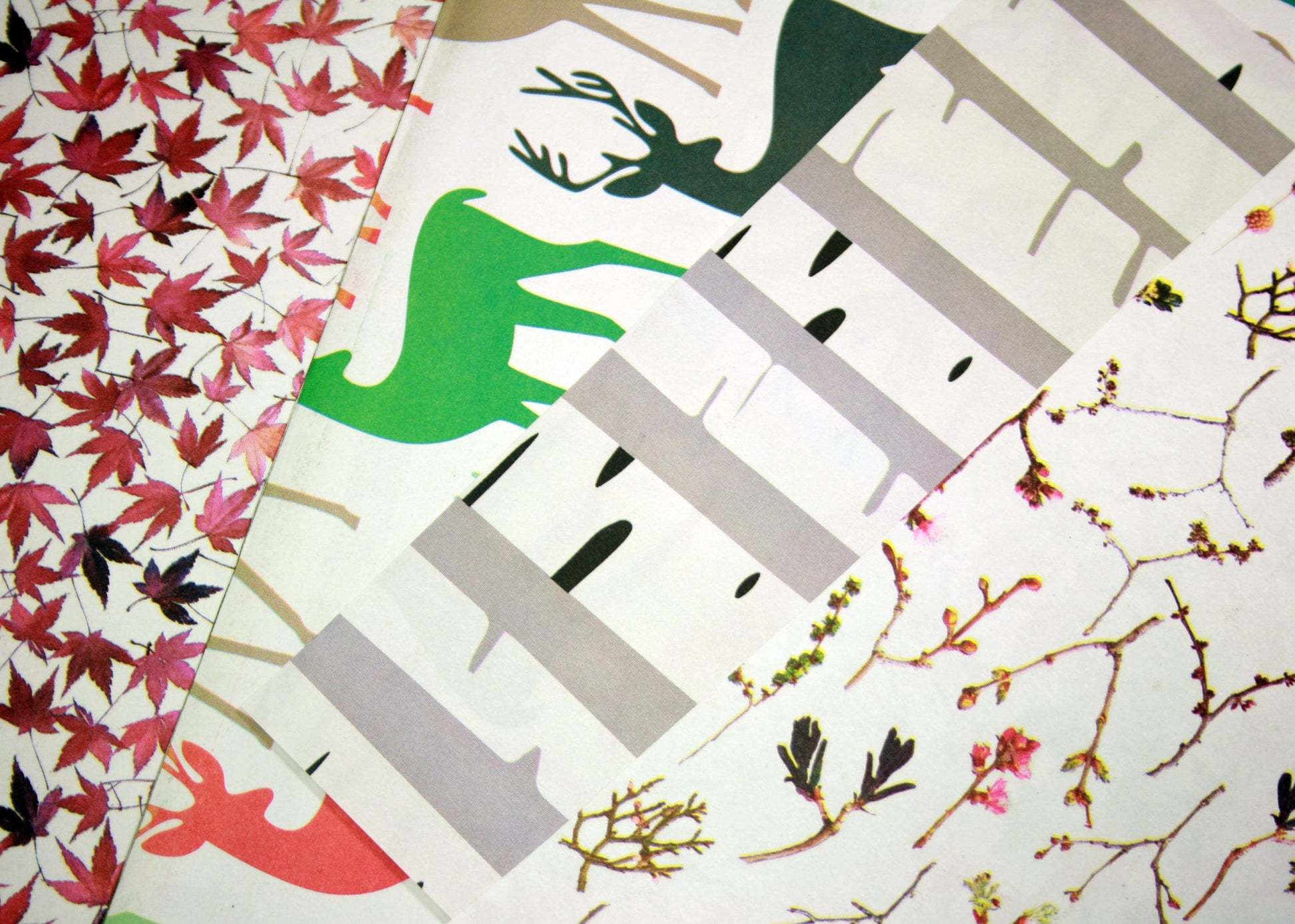 Bath & Body Spa Gift Set. 2 Small Organic Soaps, Jojoba Lotion Bar, Lip Balm. Eco-Friendly Self Care, No Waste Plastic Free Skincare Present