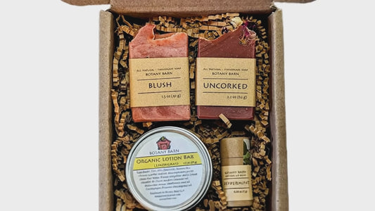 Bath & Body Spa Gift Set. 2 Small Organic Soaps, Jojoba Lotion Bar, Lip Balm. Eco-Friendly Self Care, No Waste Plastic Free Skincare Present